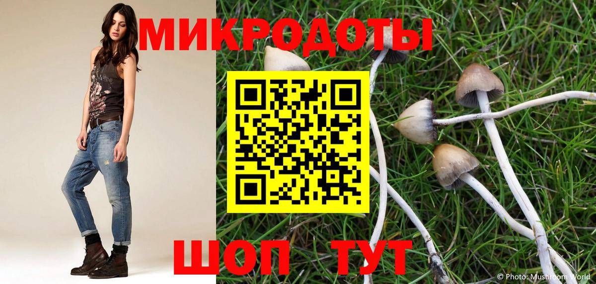 Лабинск  Псилоцибиновые грибы Magic Shrooms  Вход с VPN 